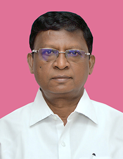 Fr Yesumarian Lourdunathan - Vice-Superior, Paathai, Vallam